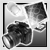 (Digital Arts / Photography)