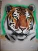 tigre by  Acidbrusher