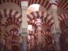 Cordoba, Spagnola.