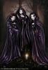 Samhain night by  Bastet