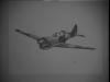 P-40 Warhawk by Daniel Voith
