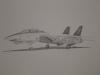 F-14 Tomcat by Daniel Voith