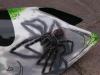 tarantula by Daniel Hirscher