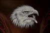Screamin Eagle work under progress by Daniel Hirscher