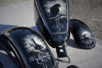 Daniel Hirscher Black Crow