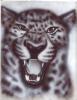 Tigre by  Eask
