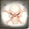 Skull on Slate by  Edikat Air