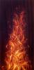 FIRE by Enrico Manini