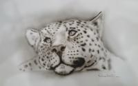 leopardo by Fabio Abbati