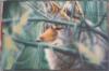Wolf Hiding. by Len Cochra Starving St