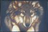 Leaping Wolf by Len Cochra Starving St
