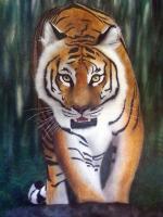 Tiger by  Jaz72