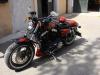 Harley Davidson Sportster by  Leone Airbr