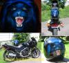 Panther on Helmet by  Lucboivin