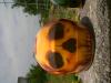 Caschi