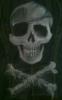 Jolly Roger Jacket by  Nega