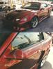 Saleen Mustang by Norman Naramore