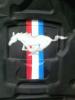 Mustang GT Hood by Norman Naramore
