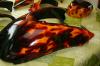Harley Vrod rear fender by Dennis Konings