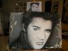 ELVIS by  Scasellato1