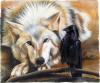 The Truce by  Sandi Baker