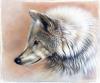 Trace III by  Sandi Baker