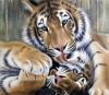 Wildlife