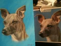 Mans best friend by David Crossley
