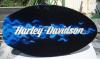 Skimboard Harley by  Splash Desi