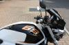 Honda Hornet 600 by  Tecnoart