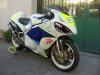 SUZUKI hayabusa by  Tecnoart