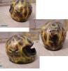 Sueca Iron Helmet von Tino Blasc -Xtreme Cus