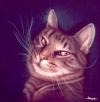 Cat by Truman&sbquo;&Auml;&ocirc;s Studio Airb