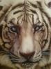Tigre by Truman&sbquo;&Auml;&ocirc;s Studio Airb
