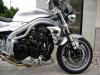 Triumph Speed triple by Erik Smedel