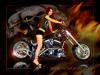 Airvolution - Laschi