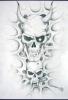  by Alex Miglio