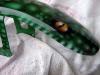reptilya by Alex Miglio