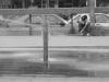 skater by Aliceguy Stella