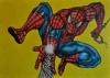 SpiderMan by Vincent Marcello