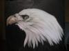  by  Angel Art S