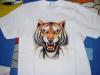 tigre by  Aurora