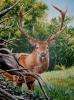 detail by Herv?&copy; Baillifard
