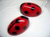 coccinelle by  Madbrusher