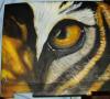 tigre by Fabrizio Bracco