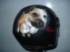 casco_cane