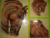 caballo by Casa De Pi Carlos Guer