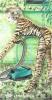 Welcome to the jungle 2 - Homebody series by Christine Dumbsky
