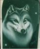lupo su snowboard by Francesco  Ciscodesign