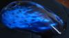 blue fire tank - cg honda by Caio Felip Barba